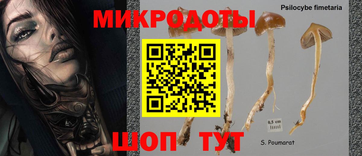 Псилоцибиновые грибы MAGIC MUSHROOMS  Вход с VPN  Донецк  Галлюциногенные грибы Psilocybine cubensis 