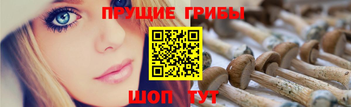 Псилоцибиновые грибы мухоморы Донецк